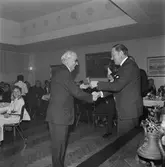 Företag nämdens pensionärsfest