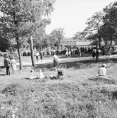 Bondbröllop (Skåne)