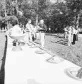 Bondbröllop (Skåne)