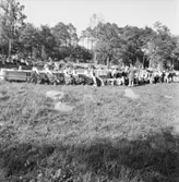 Bondbröllop (Skåne)