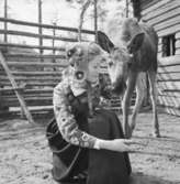 Fröken Skansen 1968, Gunnel Bergström.