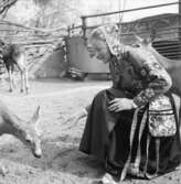 Fröken Skansen 1968, Gunnel Bergström.