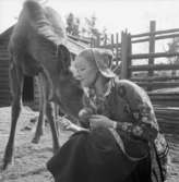 Fröken Skansen 1968, Gunnel Bergström.