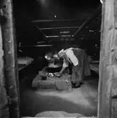 Marta på Fäbodvallen, Skansen.