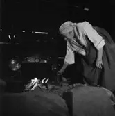 Marta på Fäbodvallen, Skansen.