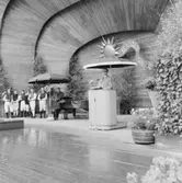 75-årsjubileet. Program på Sollidenscenen. Statsminister Tage Erlander håller tal.