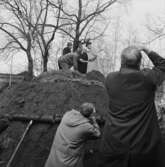 75-årsjubileet. Kung Gustav VI Adolf och kronprins Carl Gustaf besöker Skansen. Kolmila.