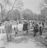 Kyrkans dag på Skansen. Folkvimmel vid Fågeldammarna.