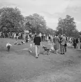 Folkvimmel på Skansen. Uppträdande. 
