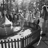 Allmänna publikbilder, Skansen augusti 1968. Lill-Skansen.