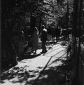 Allmänna publikbilder, Skansen augusti 1968. 