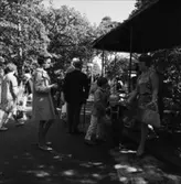 Allmänna publikbilder, Skansen augusti 1968. 