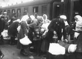 Svenskbyborna anländer till Jönköpings station med två chartrade tåg fredag 2 augusti 1929.