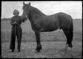 Kvinna håller tyglad häst