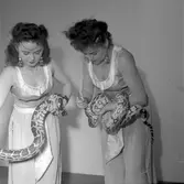 Furuviksparken. Ormtjusare.