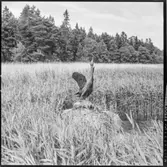 Berga slott, trädgård, Västerhaninge socken, Södermanland.