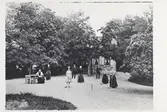 Ekströmska trädgården 1887