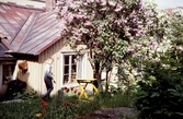 Ahlgrenska gården, Båtsmansbacken i Växjö, 1958.