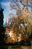 Hus i Linnéparken, 1959.