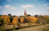 Linnéparken och domkyrkan, 1959.