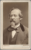 Carl Edvard Landström (1818-1910)