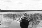 En man och en pojke, som ror en eka, på sjön en sommardag.