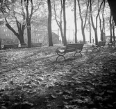 Hamnparken i Jönköping, öster om kanalen.