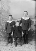 Ateljéporträtt - barn till Wahlström från Svartnö, Börstil socken, Uppland 1922