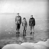 Tre pojkar står på isen vid Vätterstranden i Jönköping.