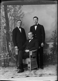 Ateljéporträtt - Emerik Larsson, Evald Andersson och en tredje man från Börstil socken Uppland 1921
