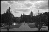 Stadsträdgården mot domkyrkan