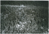 Tärna sn, Sala kn, Smedsbo.
Flygfoto över skogsområde i Smedsbo, 1931.