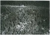 Tärna sn, Sala kn, Smedsbo.
Flygfoto över skogsområde i Smedsbo, 1931.