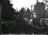 Sju personer arbetar i skogen med att transportera timmer med hästar. De flesta sitter på en bjässe till stock och en likadan ligger lastad bakom hästarna. Ena kvinnan håller upp en stor flaska så kanske det är en varm dag.