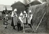 Flickor i leksandsdräkt räfsar hö. Leksand, Dalarna.