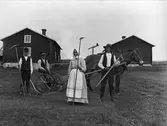 Skördearbete vid Ytterturingen, Haverö sn, Medelpad.  En man och en kvinna med räfsor i händerna, en man sitter på en slåttermaskin, en sk självavläggare, vilken är spänd för en häst.  