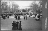 Kabinettsfotografi - folkvimmel och festligheter i Botaniska trädgården nedanför Uppsala slott, Uppsala 1903