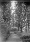 Minnessten tillägnad Oscar I vid Bo, Hallsberg. Bild beställd av handlaren Gustaf Söderbäck, Uppsala före 1914