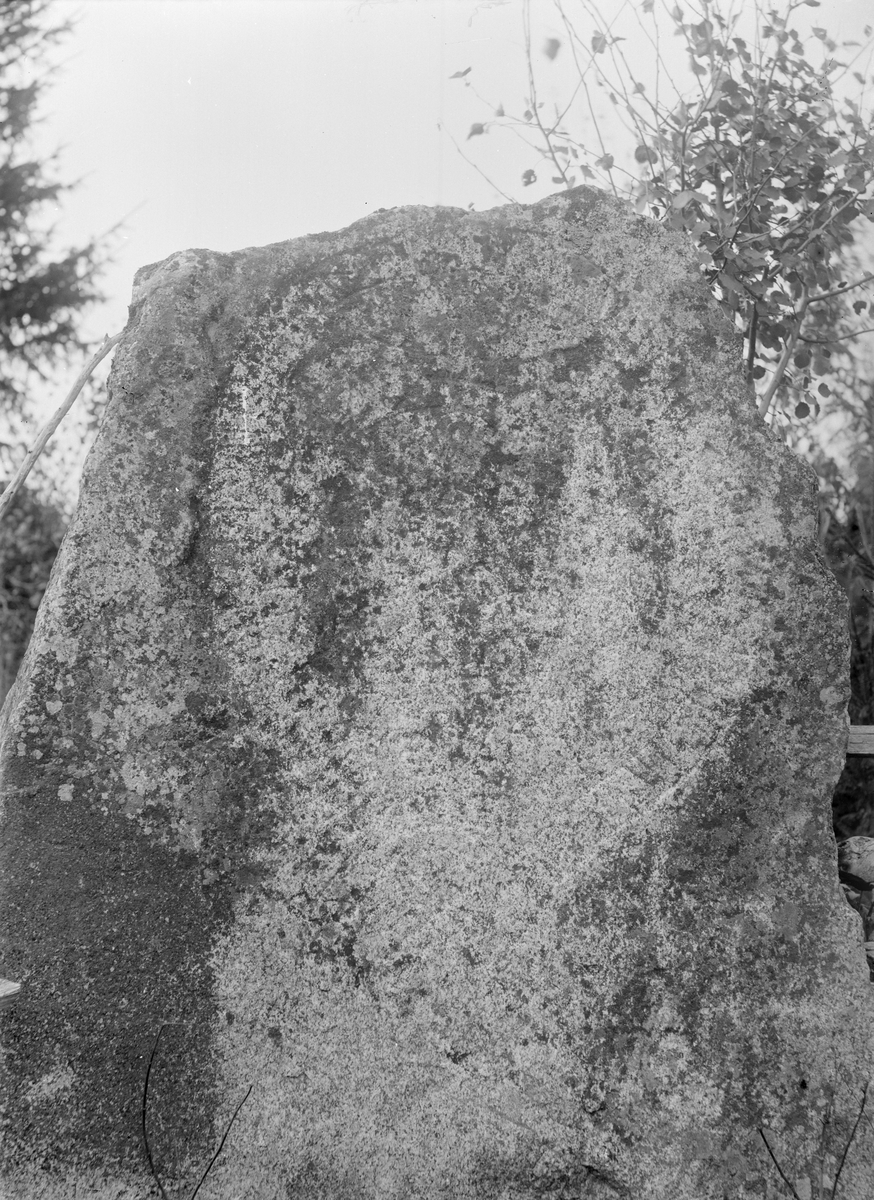 Henri Osti's Fotografiateliér, Runsten U1016 i Fjuckby, Ärentuna socken, Uppland 1897