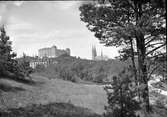 Uppsalaåsen - Akademiska sjukhuset, Uppsala slott och Uppsala domkyrka från sydost, Uppsala 1892