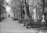 Uppsala gamla kyrkogård, Kåbo, Uppsala 1946