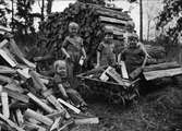 Barn hämtar ved, maj 1936. Fyra av pojkarna har likadana kläder