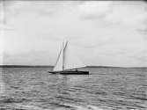 Segelbåt, sannolikt på Ekoln, Uppland, före 1933