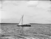 Segelbåt, sannolikt på Ekoln, Uppland, före 1933