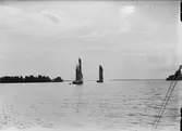 Segelbåtar, sannolikt på Ekoln, Uppland, före 1933