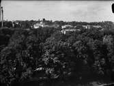 Stadsträdgården, Uppsala oktober 1949