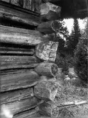 Detalj av knuttimrad hölada - Aug Larsson, Hållen, Hållnäs socken, Uppland, sannolikt 1930-tal
