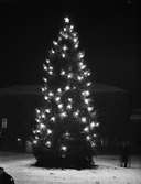 Julgran på Fyristorg, Uppsala december 1939