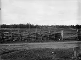 Väg och gärdesgårdar, Hållen, Hållnäs socken, Uppland juli 1935