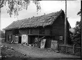 Fähus och stall, E Johanssons, Nybergen, Nyvla, Bälinge socken, Uppland, sannolikt 1920-tal